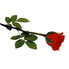 3f3ab013b61decab4f6022483032a293_1779604396_53.gif