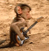fae2228dd195990f876d239826c070b8_1792224383_02.gif